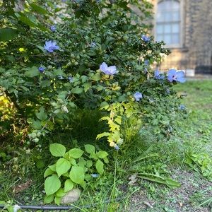 Meet your Posher, Leigh